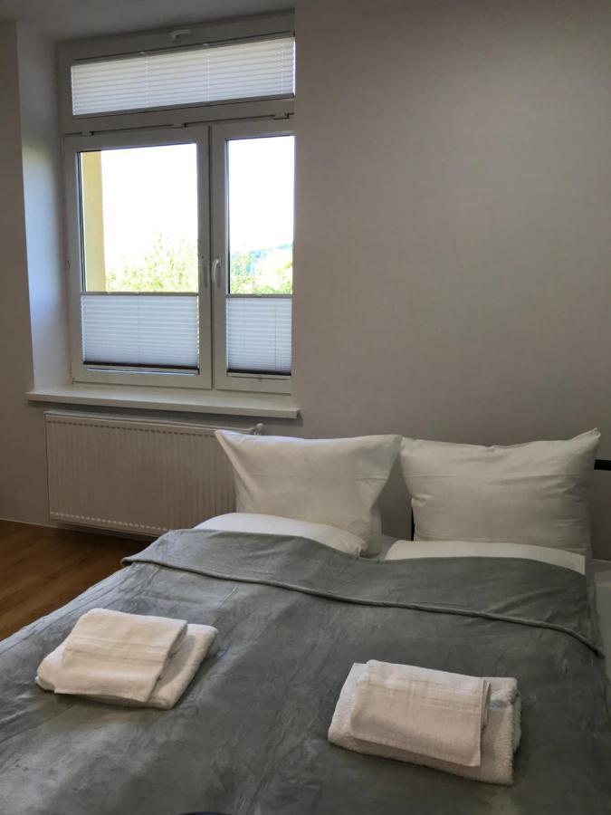Cristal Apartament Krynica - Zdroj Экстерьер фото