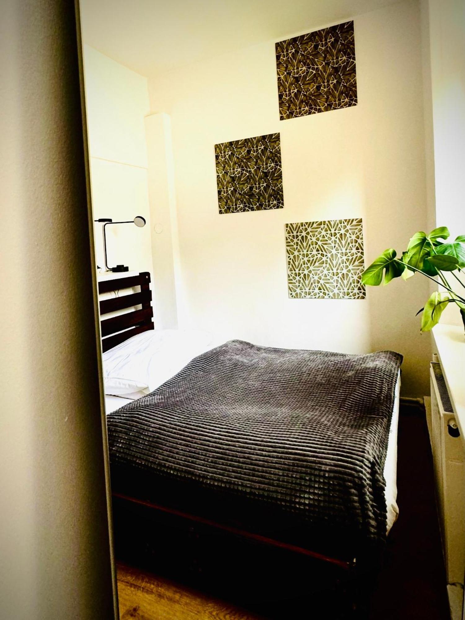 Cristal Apartament Krynica - Zdroj Экстерьер фото