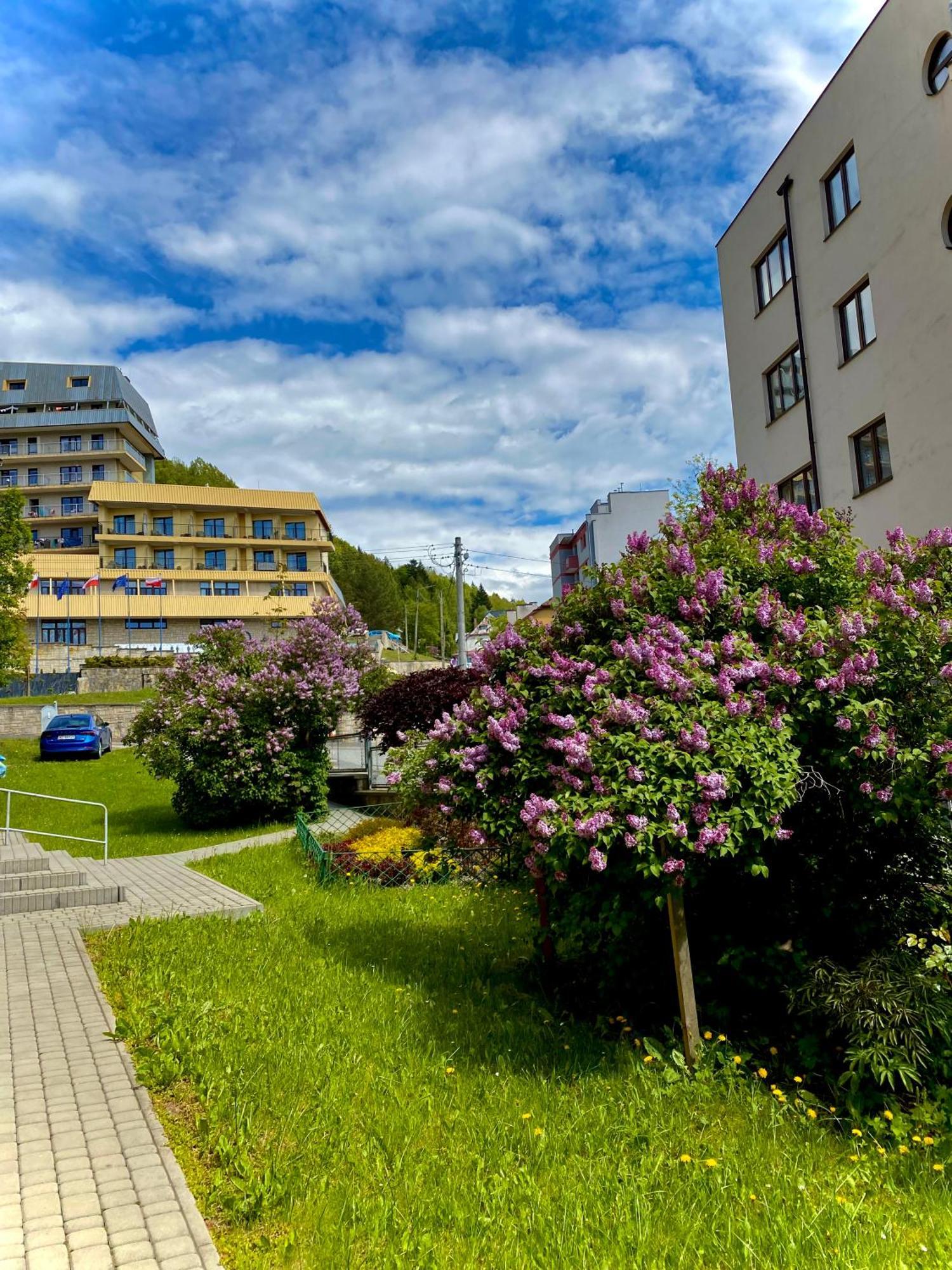 Cristal Apartament Krynica - Zdroj Экстерьер фото